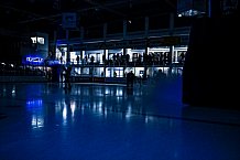 Eishockey, Herren, DEL, Saison 2021-2022, 19.10.2021