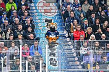 Eishockey, Herren, Penny DEL, Playoffs, Viertelfinale, Spiel 5, Saison 2023-2024, Straubing Tigers - Schwenninger Wild Wings,26.03.2024