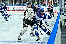 Eishockey, Herren, Penny DEL, 11. Spieltag, Saison 2023-2024, Straubing Tigers - Koelner Haie,15.10.2023