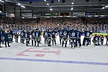 Eishockey, Herren, Penny DEL, Playoffs, Viertelfinale, Spiel 7, Saison 2023-2024, Straubing Tigers - Schwenninger Wild Wings,30.03.2024