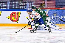 Eishockey, CHL, Champions Hockey League, 2. Spieltag, Saison 2022-2023, Gruppe F, Färjestad Karlstad - Straubing Tigers, 03.09.2022