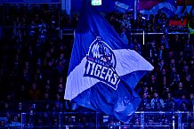 Eishockey, Herren, Penny DEL, DEL, Saison 2022-2023, Playoffs, Viertelfinale, Spiel 5, Straubing Tigers - Grizzlys Wolfsburg, 24.03.2023
