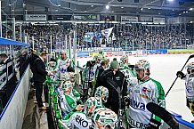 Eishockey, Herren, Penny DEL, DEL, Saison 2022-2023, Hauptrunde, Straubing Tigers - Bietigheim Steelers, 33. Spieltag, 20.12.2022