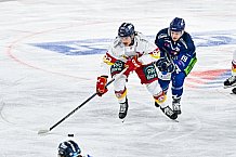 Eishockey, Men, DEL, Penny DEL, Hauptrunde Saison 2024-25, 1. Spieltag, Straubing Tigers - Düsseldorfer EG, 20.09.2024