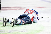 Eishockey, Herren, DEL, Saison 2021-2022, Straubing Tigers - Adler Mannheim, 10.09.2021