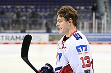 Eishockey, Herren, DEL, Saison 2020-2021, Straubing Tigers - Adler Mannheim, 06.03.2021