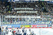 Eishockey, Herren, Penny DEL, 5. Spieltag, Saison 2023-2024, Straubing Tigers - EHC Red Bull Muenchen,29.09.2023