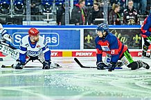 Eishockey, Herren, Penny DEL, 16. Spieltag, Saison 2023-2024, Straubing Tigers - Schwenninger Wild Wings,31.10.2023