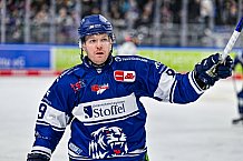 Eishockey, Herren, Penny DEL, 42. Spieltag, Saison 2023-2024, Straubing Tigers - Ingolstadt Panther,28.01.2024