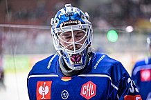 Eishockey, CHL, Champions Hockey League, 1. Spieltag, Saison 2022-2023, Gruppe F, Comarch Cracovia - Straubing Tigers, 01.09.2022