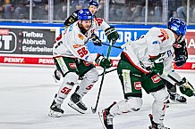 Eishockey, Herren, Penny DEL, 34. Spieltag, Saison 2023-2024, Straubing Tigers - Augsburger Panther,03.01.2024