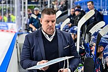 Eishockey, Herren, Penny DEL, Playoffs, Viertelfinale, Spiel 5, Saison 2023-2024, Straubing Tigers - Schwenninger Wild Wings,26.03.2024