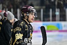 Herren, Eishockey, Oberliga-Süd, Saison 2022-2023, DEB, Deggendorfer SC - EV Herne Miners, Playoff, Viertelfinale, Spiel 4, 04.04.2023