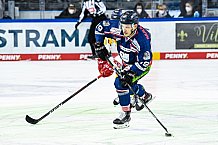 Eishockey, Herren, DEL, Saison 2020-2021, Straubing Tigers - Düsseldorfer EG, 04.04.2021