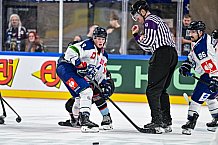 Eishockey, Men, CHL, Champions Hockey League, Regular Saison 2024-25, Game Day 1, Straubing Tigers - SonderjyskE Vojens, 06.09.2024