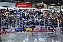 Eishockey, Herren, DEL, Saison 2021-2022, Playoff, Viertelfinale, Spiel 3, Straubing Tigers - Adler Mannheim, 14.04.2022