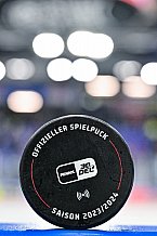 Eishockey, Herren, Penny DEL, 11. Spieltag, Saison 2023-2024, Straubing Tigers - Koelner Haie,15.10.2023