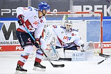 Eishockey, Herren, DEL, Saison 20202021, Straubing Tigers - Adler Mannheim, 22.01.2021