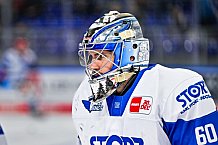 Eishockey, Herren, Penny DEL, Playoffs, Viertelfinale, Spiel 1, Saison 2023-2024, Straubing Tigers - Schwenninger Wild Wings,16.03.2024