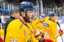 Eishockey, Herren, Penny DEL, 20. Spieltag, Saison 2023-2024, Straubing Tigers - Duesseldorfer EG,19.11.2023