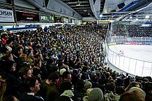 Eishockey, Herren, DEL, Penny DEL, Saison 2022-2023, Hauptrunde, Straubing Tigers - EHC Red Bull München, 47. Spieltag, 27.01.2023
