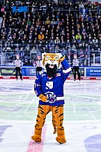 Eishockey, Herren, Penny DEL, DEL, Saison 2022-2023, Playoffs, Viertelfinale, Spiel 5, Straubing Tigers - Grizzlys Wolfsburg, 24.03.2023