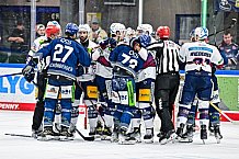 Eishockey, Herren, Penny DEL, Playoffs, Halbfinale, Spiel 2, Saison 2023-2024, Straubing Tigers - Eisbären Berlin, n03.04.2024