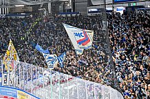 Eishockey, Men, DEL, Penny DEL, Hauptrunde Saison 2024-25, 1. Spieltag, Straubing Tigers - Düsseldorfer EG, 20.09.2024