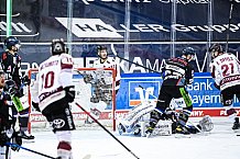 Eishockey, Herren, DEL, Saison 2020-2021, Straubing Tigers - Kölner Haie, 11.04.2021