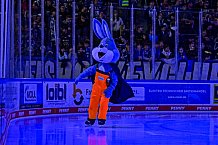 Eishockey, Herren, Penny DEL, 16. Spieltag, Saison 2023-2024, Straubing Tigers - Schwenninger Wild Wings,31.10.2023