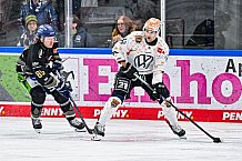 Eishockey, Herren, Penny DEL, 24. Spieltag, Saison 2023-2024, Straubing Tigers - Grizzlys Wolfsburg,03.12.2023