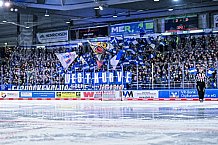 Eishockey, Herren, Penny DEL, DEL, Saison 2022-2023, Playoffs, Viertelfinale, Spiel 1, Straubing Tigers - Grizzlys Wolfsburg, 14.03.2023
