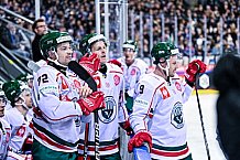 Eishockey, Herren, CHL, Champions Hockey League, Saison 2022-2023, Achtelfinale, Straubing Tigers - Frölunda HC Göteborg, Rückspiel, 22.11.2022