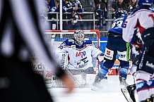 Eishockey, Herren, DEL, Saison 2021-2022, Playoff, Viertelfinale, Spiel 3, Straubing Tigers - Adler Mannheim, 14.04.2022