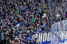 Eishockey, Herren, Penny DEL, DEL, Saison 2022-2023, Playoffs, Viertelfinale, Spiel 3, Straubing Tigers - Grizzlys Wolfsburg, 19.03.2023