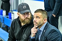 Eishockey, Herren, Penny DEL, 12. Spieltag, Saison 2023-2024, Straubing Tigers - Duesseldorfer EG,20.10.2023