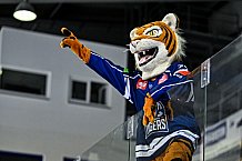 Eishockey, CHL, Champions Hockey League, 3. Spieltag, Saison 2022-2023, Gruppe F, Straubing Tigers - Comrach Cracovia, 09.09.2022