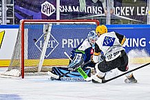 Eishockey, Men, CHL, Champions Hockey League, Regular Saison 2024-25, Game Day 2, Straubing Tigers - Skelleftea AIK, 08.09.2024