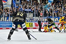 Eishockey, Herren, Penny DEL, 20. Spieltag, Saison 2023-2024, Straubing Tigers - Duesseldorfer EG,19.11.2023