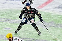 Eishockey, Herren, Penny DEL, 49. Spieltag, Saison 2023-2024, Straubing Tigers - Frankfurter Löwen,25.02.2024