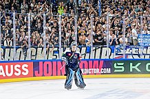 Eishockey, Men, CHL, Champions Hockey League, Regular Saison 2024-25, Game Day 2, Straubing Tigers - Skelleftea AIK, 08.09.2024