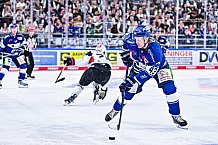 Eishockey, Herren, DEL, Penny DEL, Vorbereitung, Gäubodencup 2023, Saison 2023-2024, Straubing Tigers - Nürnberg Ice Tigers,18.08.2023
