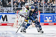 Eishockey, Herren, Penny DEL, Playoffs, Halbfinale, Spiel 2, Saison 2023-2024, Straubing Tigers - Eisbären Berlin, n03.04.2024