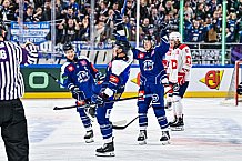 Eishockey, Men, CHL, Champions Hockey League, Regular Saison 2024-25, Game Day 4, Straubing Tigers - Dynamo Pardubice, 15.09.2024