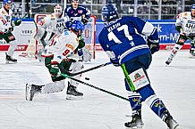 Eishockey, Herren, Penny DEL, 40. Spieltag, Saison 2023-2024, Straubing Tigers - Augsburger Panther,21.01.2024