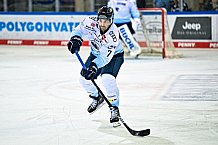Eishockey, DEL, Penny-DEL, Vorbereitung, Straubing Tigers - ERC Ingolstadt, Gäubodencup 2022, Finale20.08.2022
