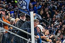 Eishockey, Men, DEL, Penny DEL, Hauptrunde Saison 2024-25, 8. Spieltag, Straubing Tigers - Adler Mannheim, 11.10.2024