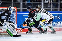 Eishockey, Herren, DEL, Saison 2021-2022, 01.10.2021