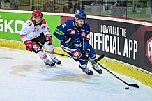 Eishockey, CHL, Champions Hockey League, 1. Spieltag, Saison 2022-2023, Gruppe F, Comarch Cracovia - Straubing Tigers, 01.09.2022