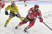 Herren, Eishockey, Oberliga-Süd, DEB, Saison 2024-2025, Deggendorfer SC - Tölzer Löwen, 22.09.2024